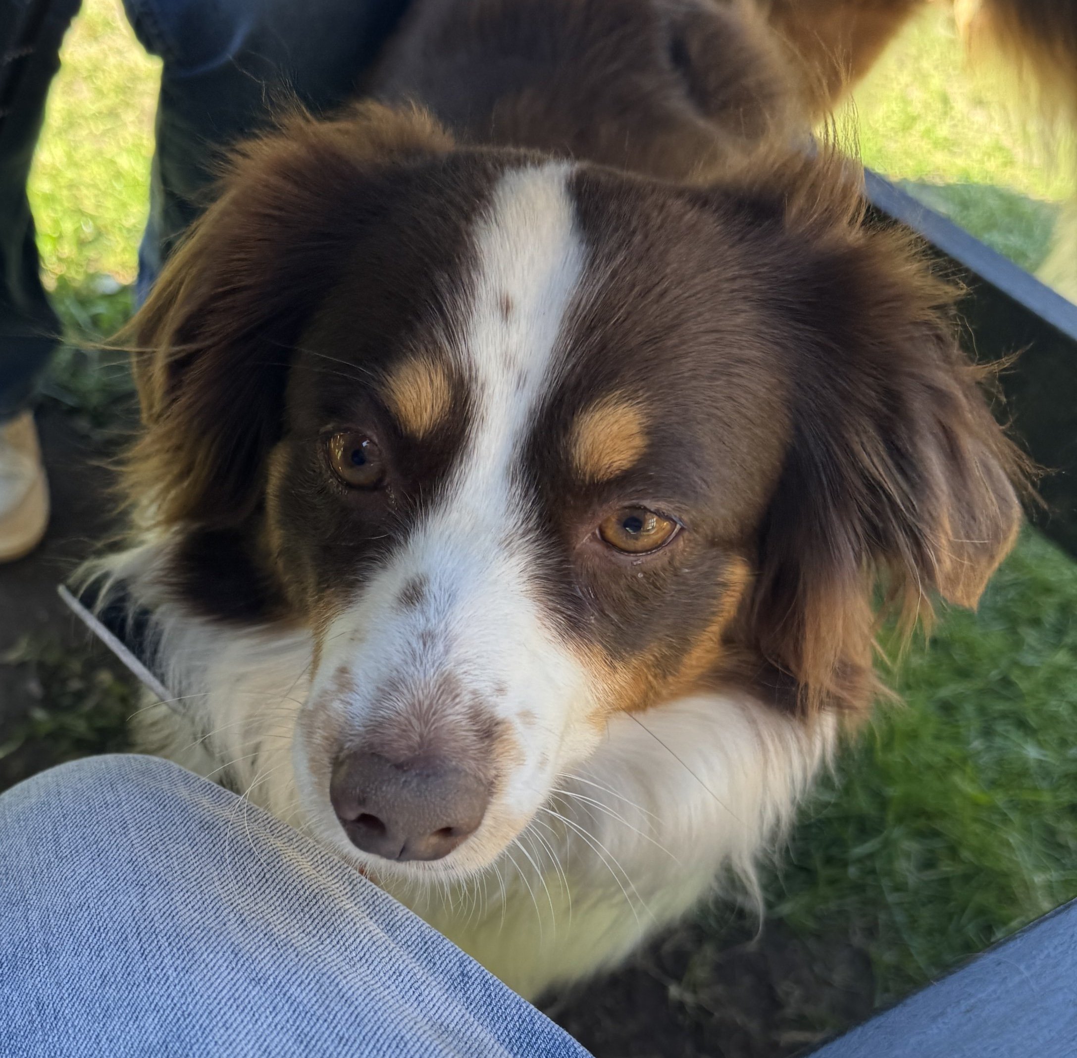 Meg