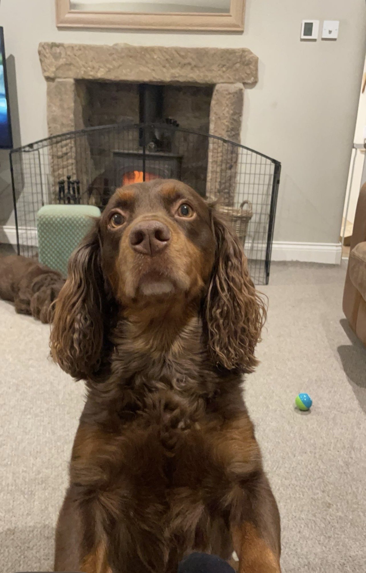 Murphy and maddie