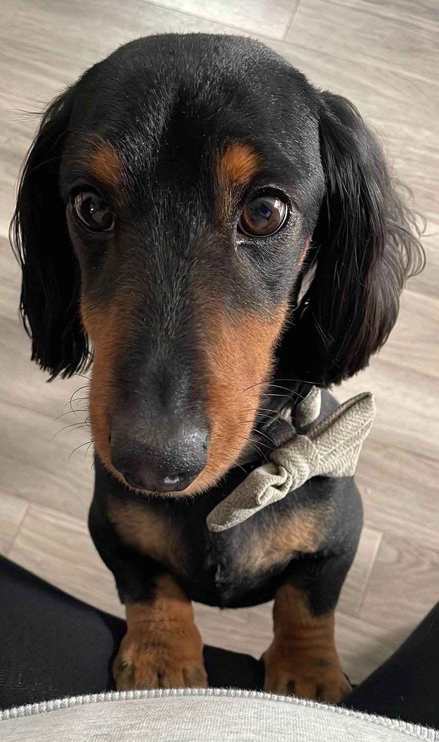 Odin