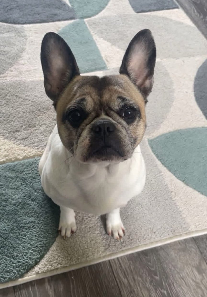 Lola