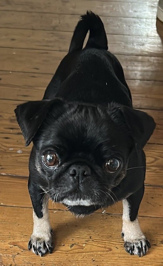 Mabel