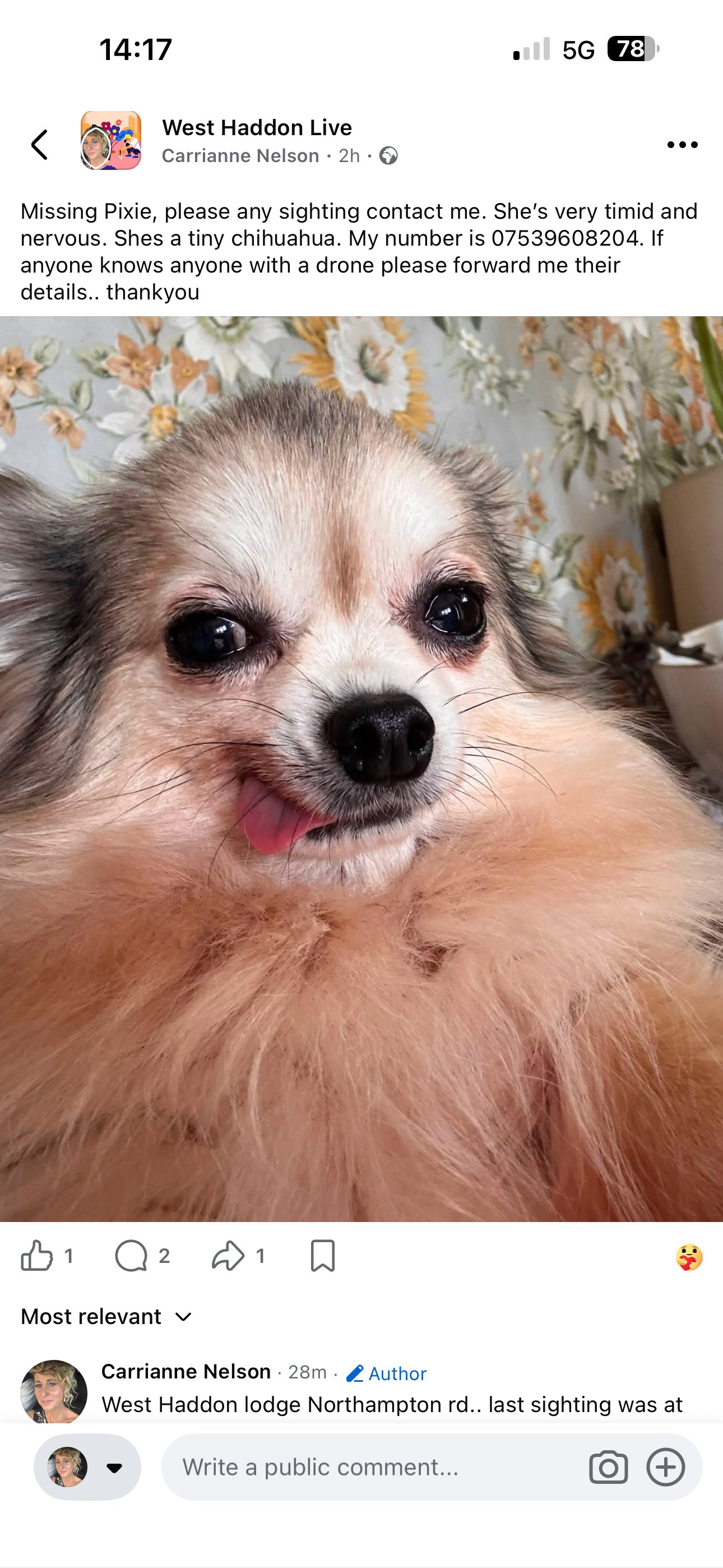 Pixie