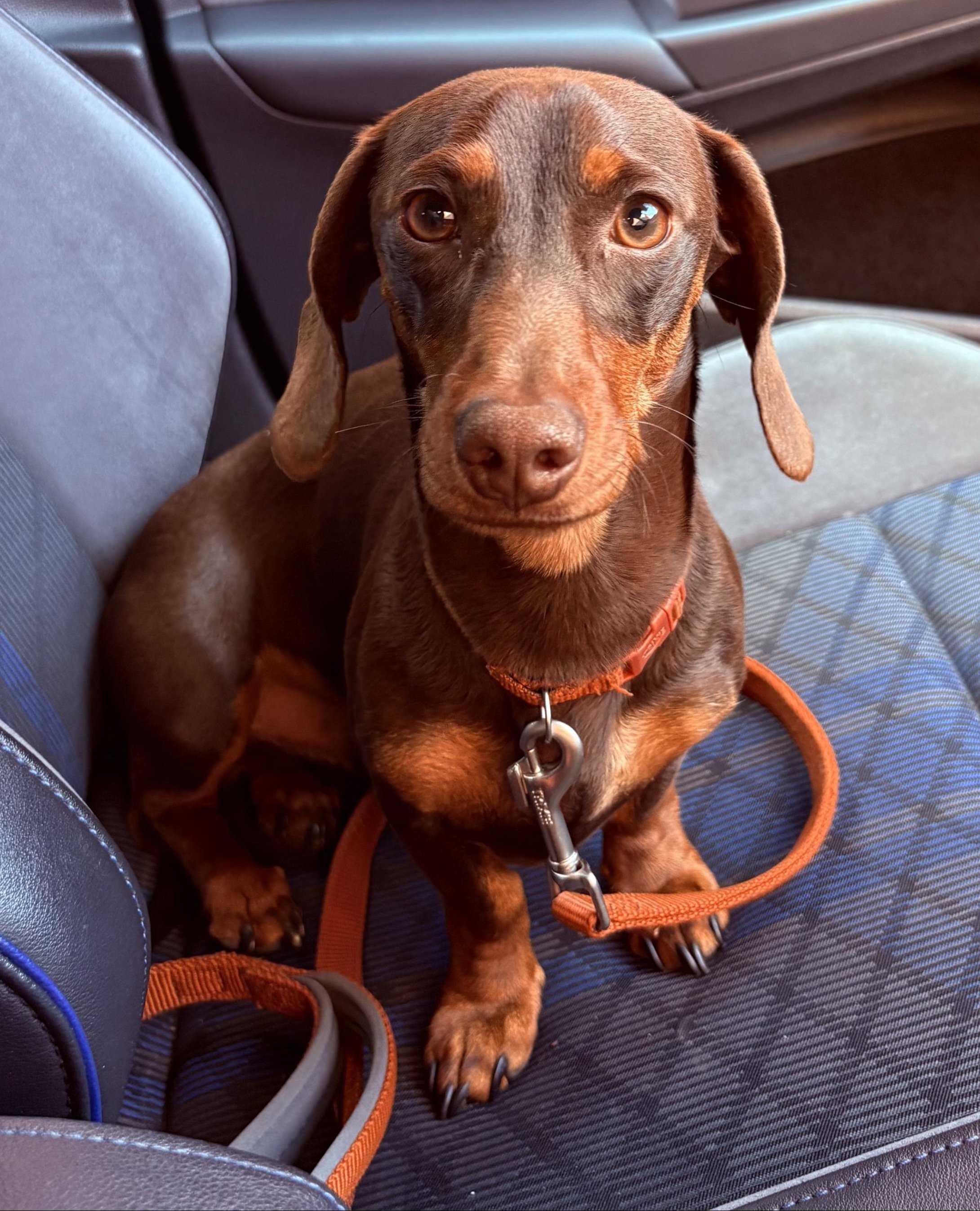 Rupert