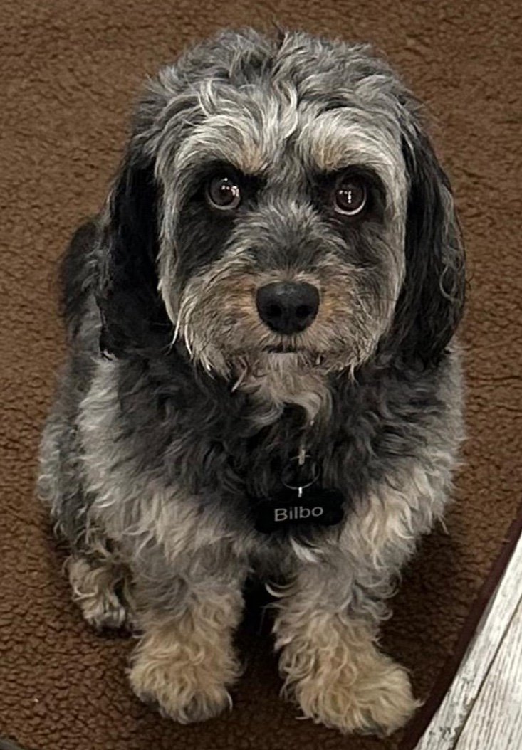 Bilbo