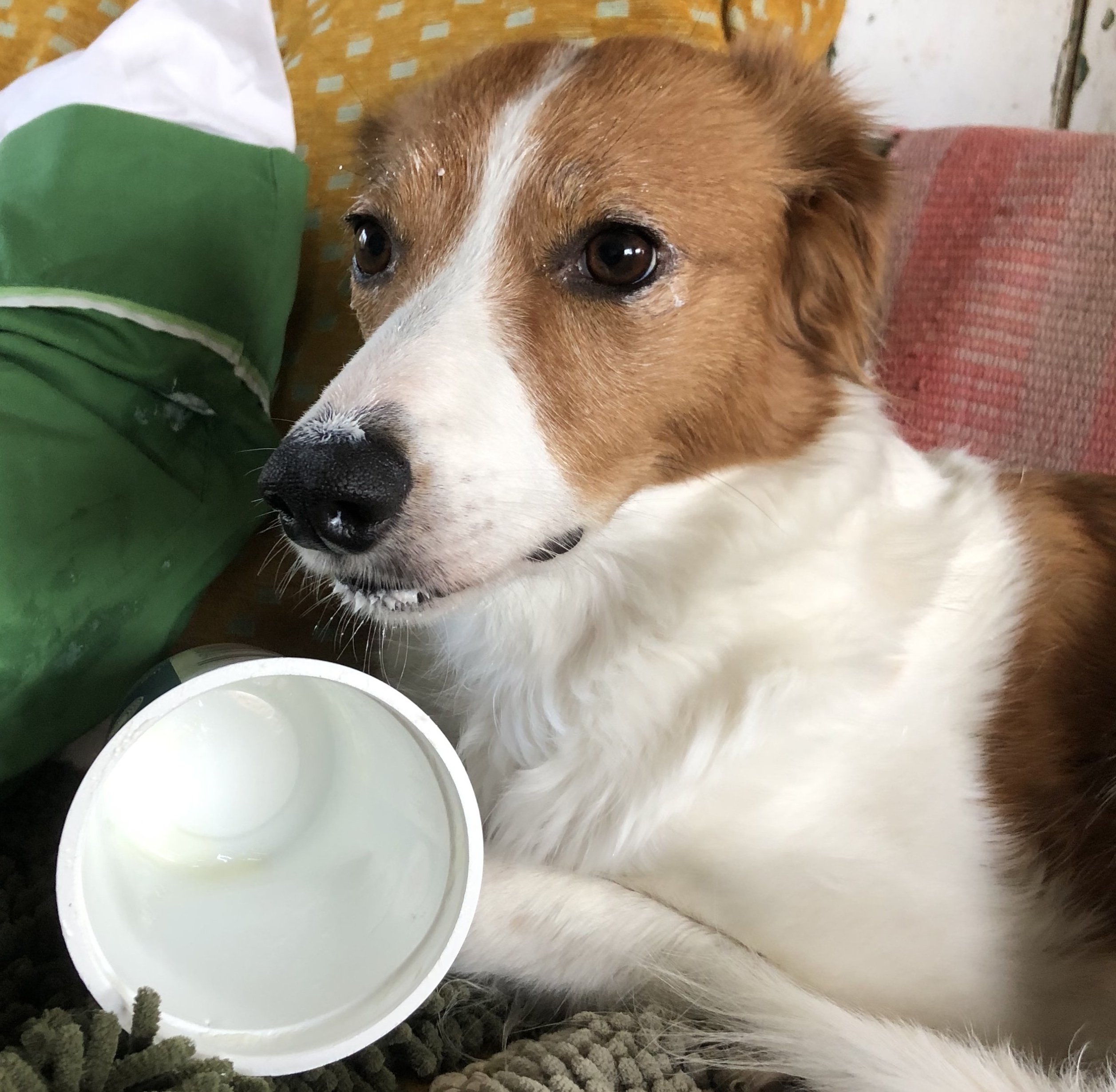 Mali