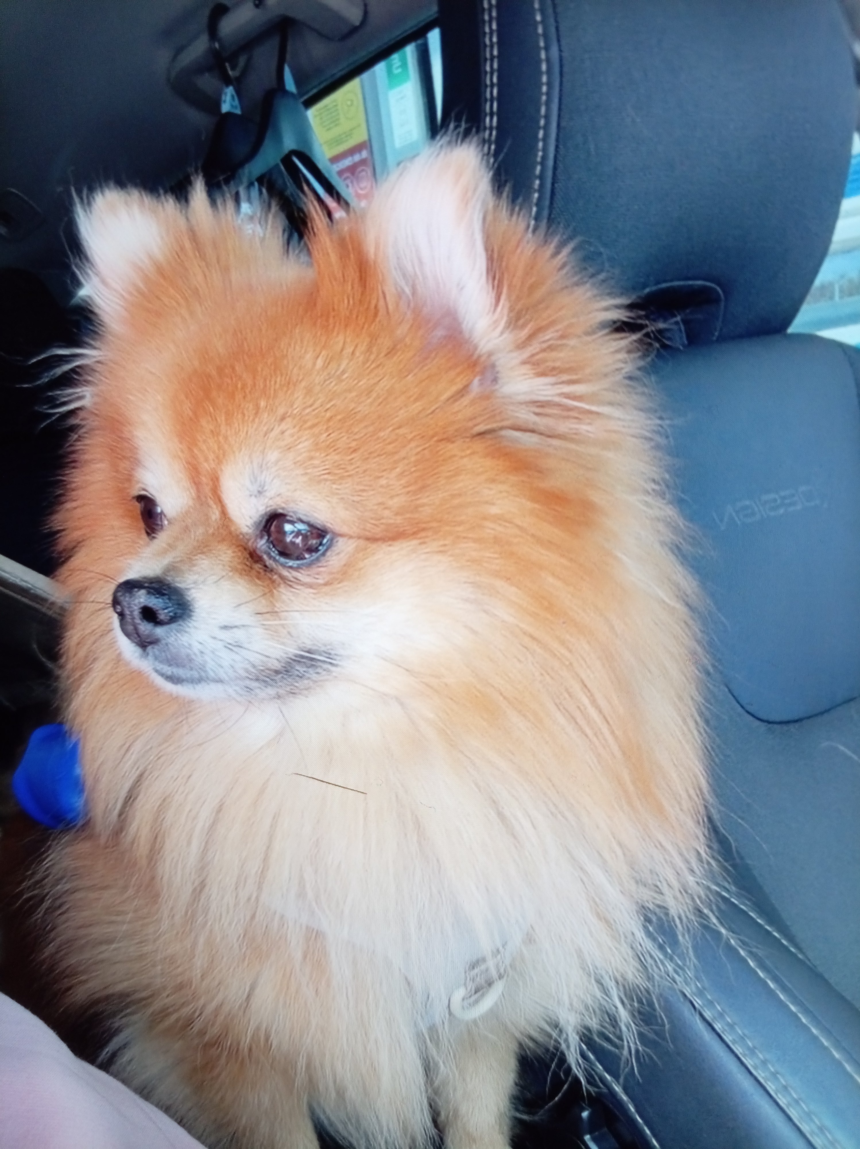 Milo