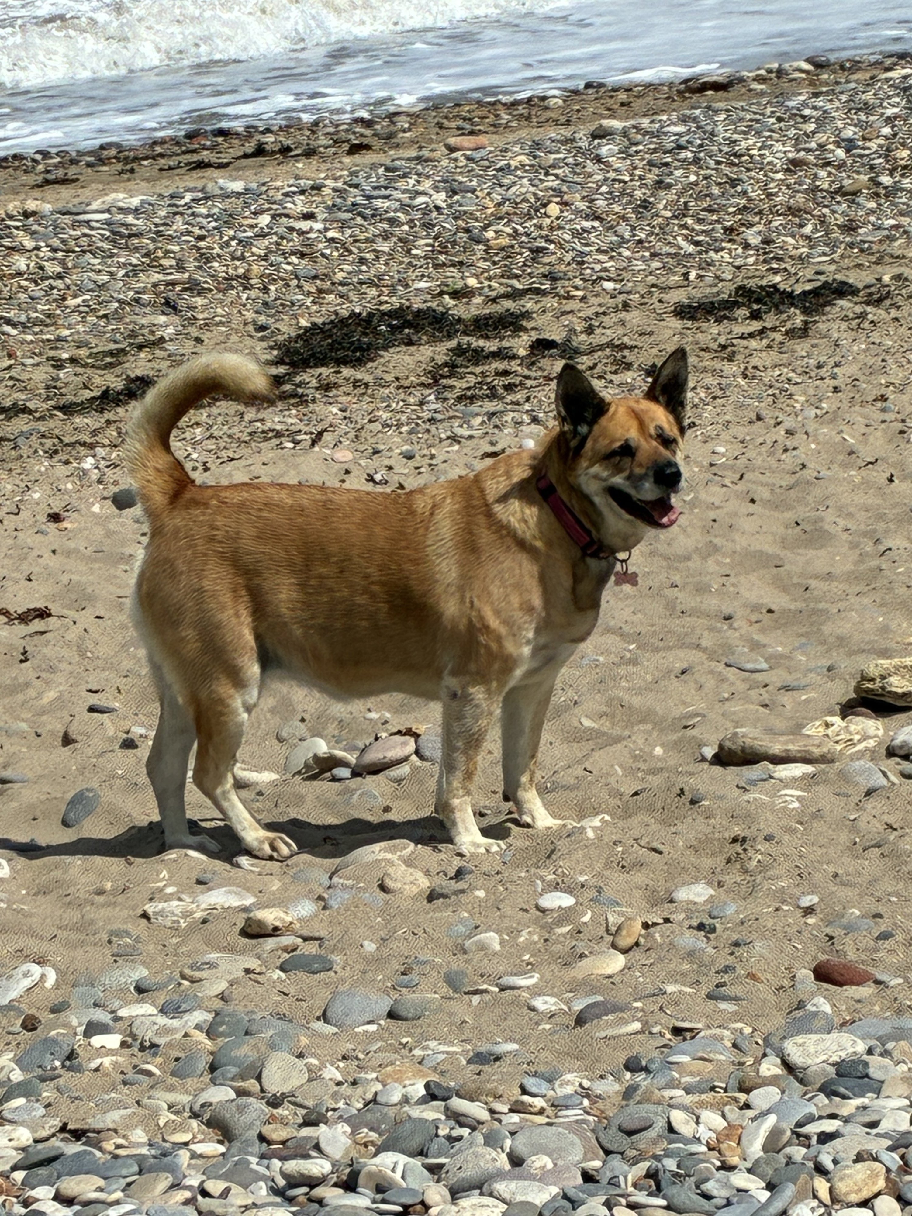 Molly