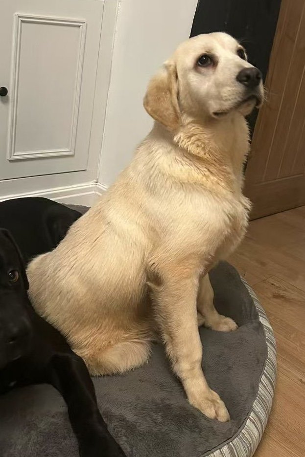 Nomi
