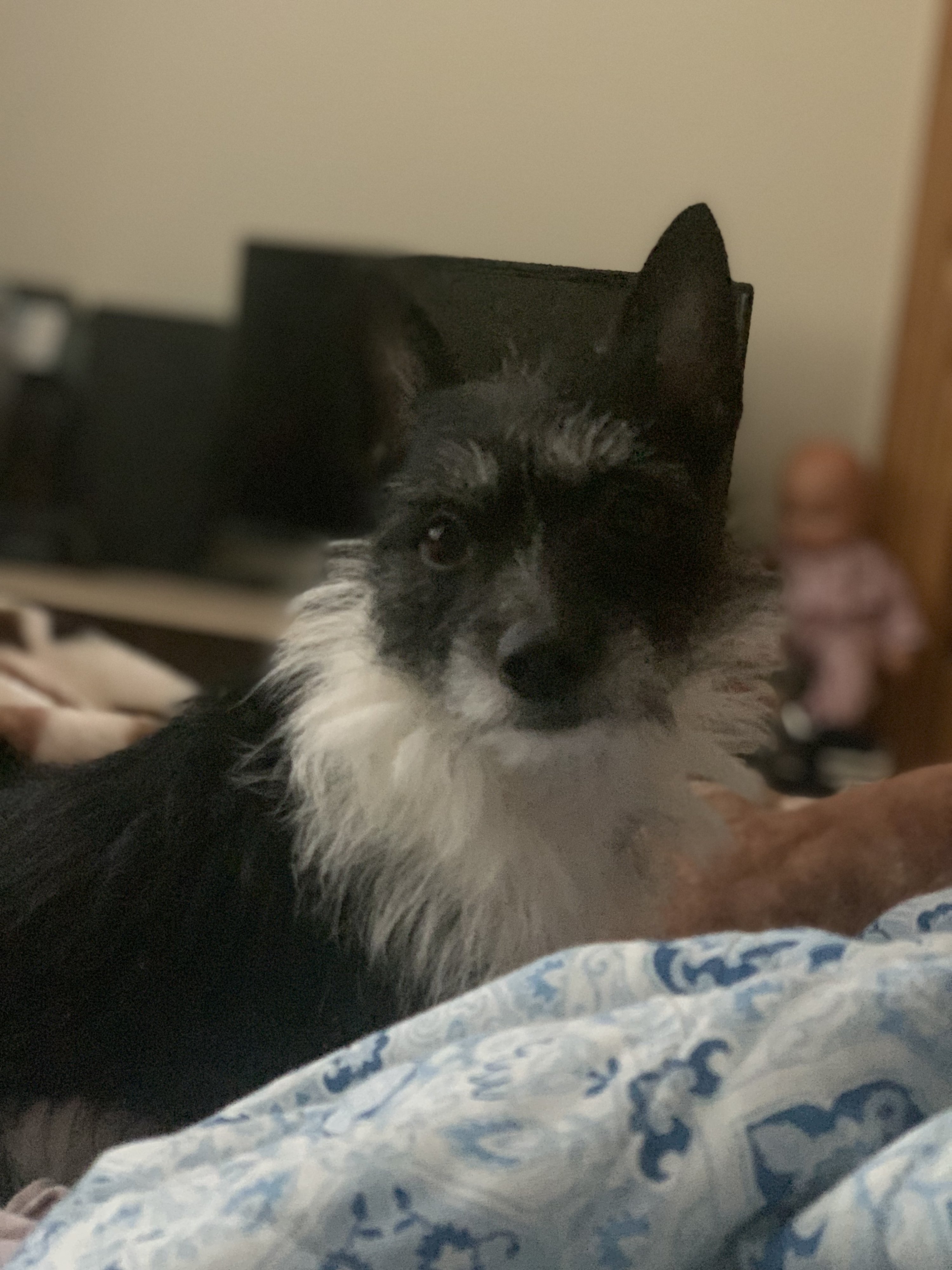 Luna