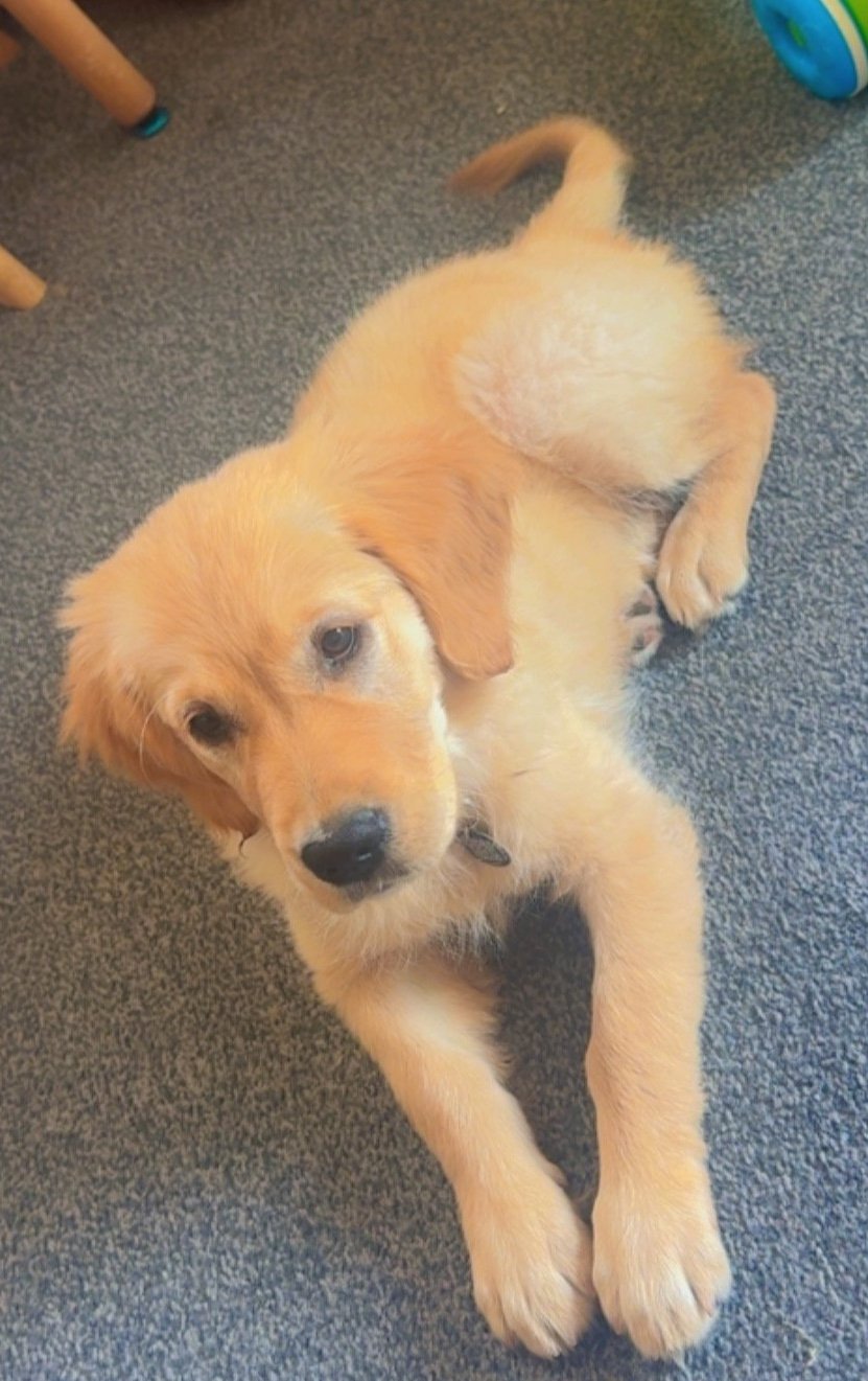 Rosie