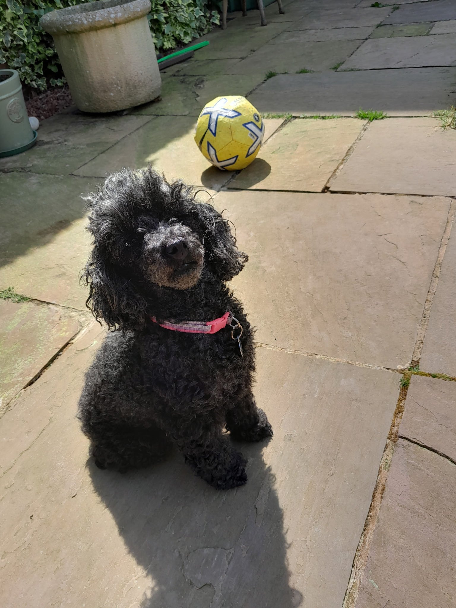 Molly