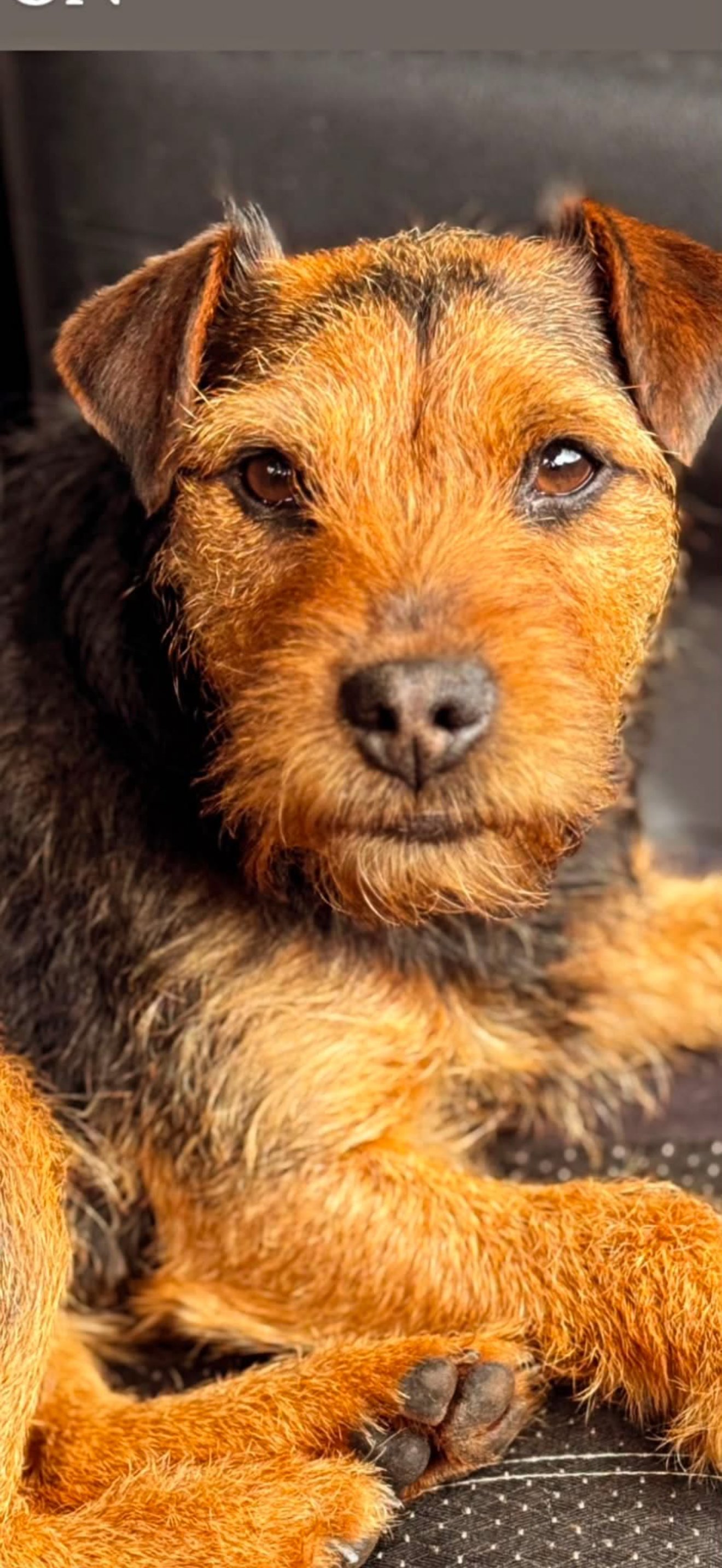 Edna