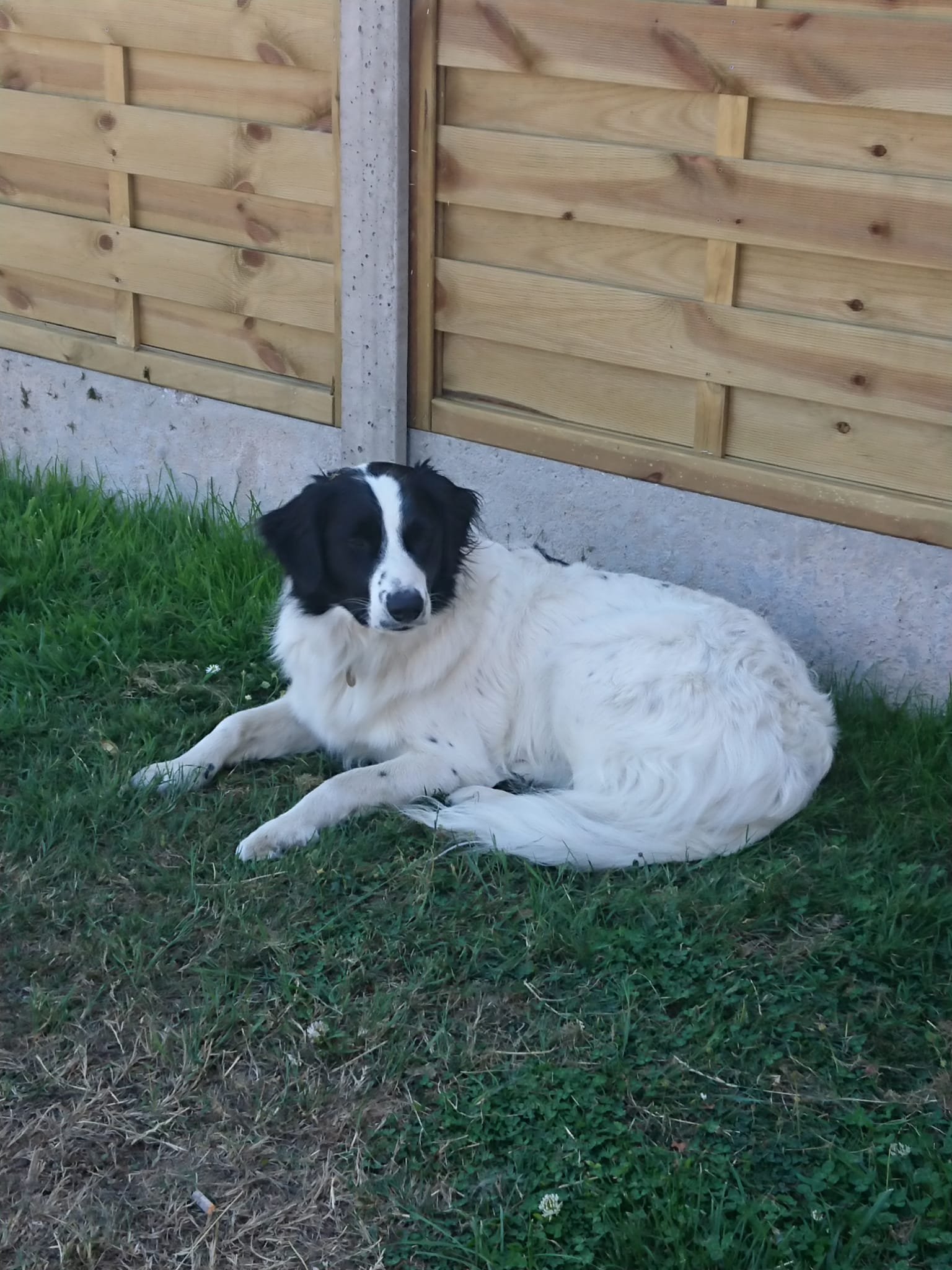 Missy