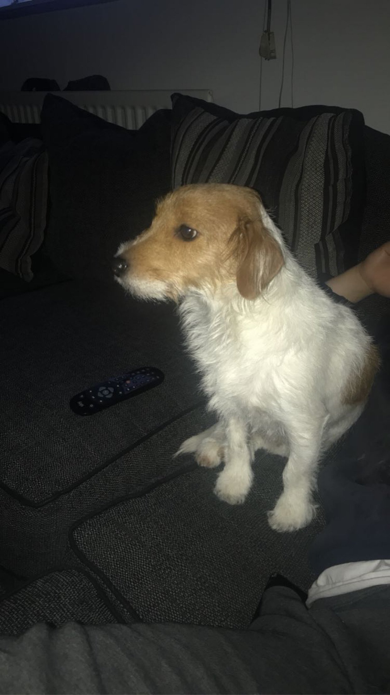 Diego