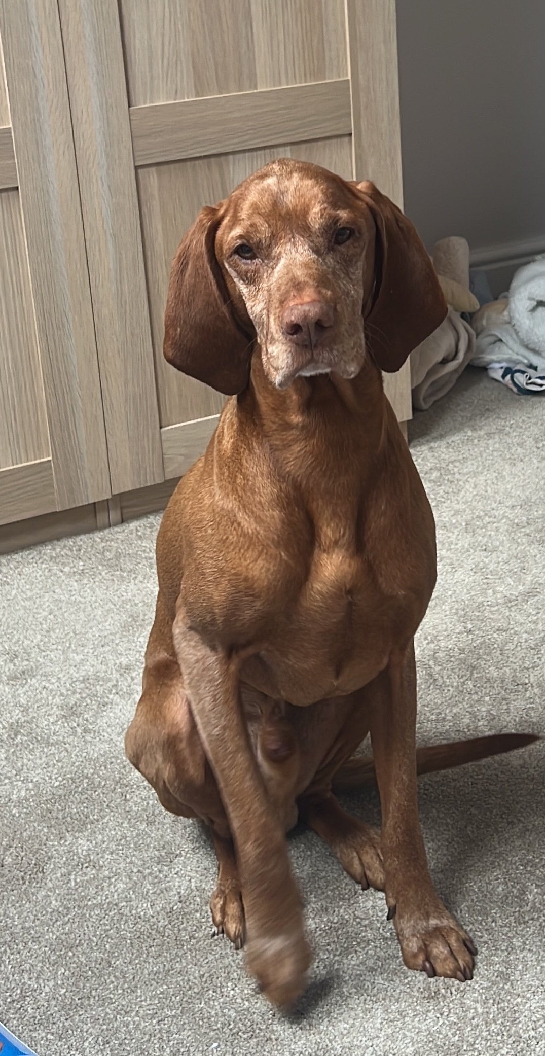 Ernie