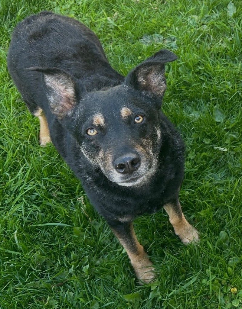 Bailey