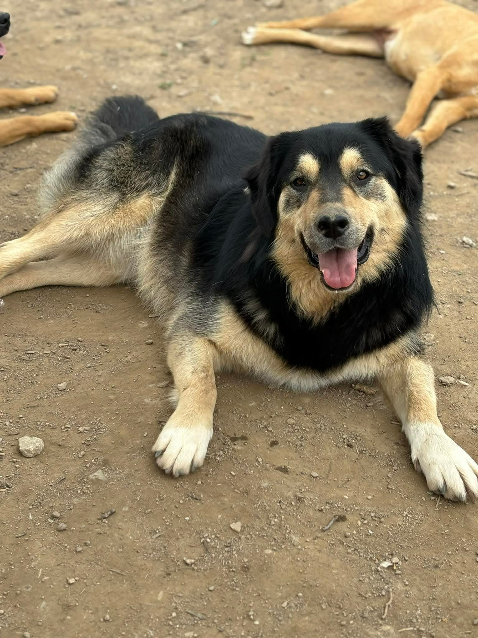 Erika
