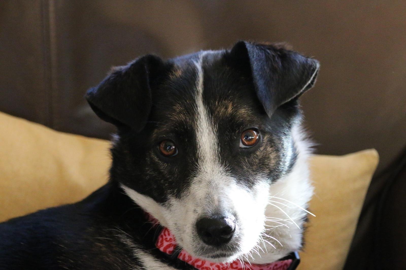 Nell