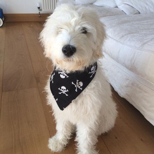Luca