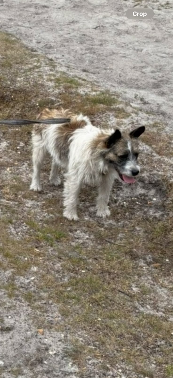 Patch and Sky