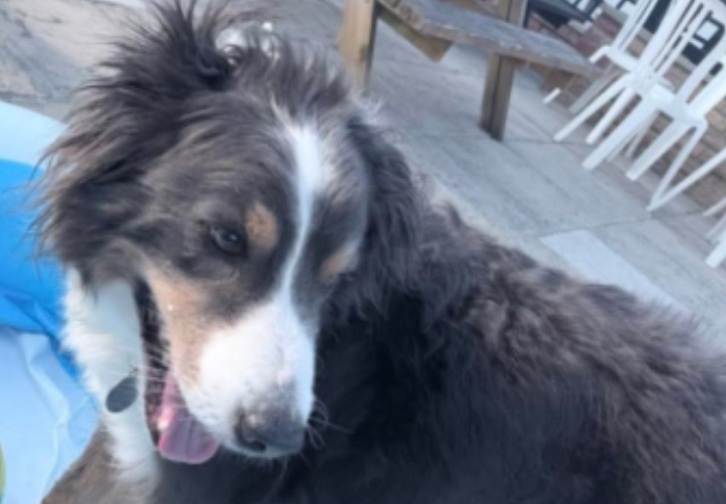 Max