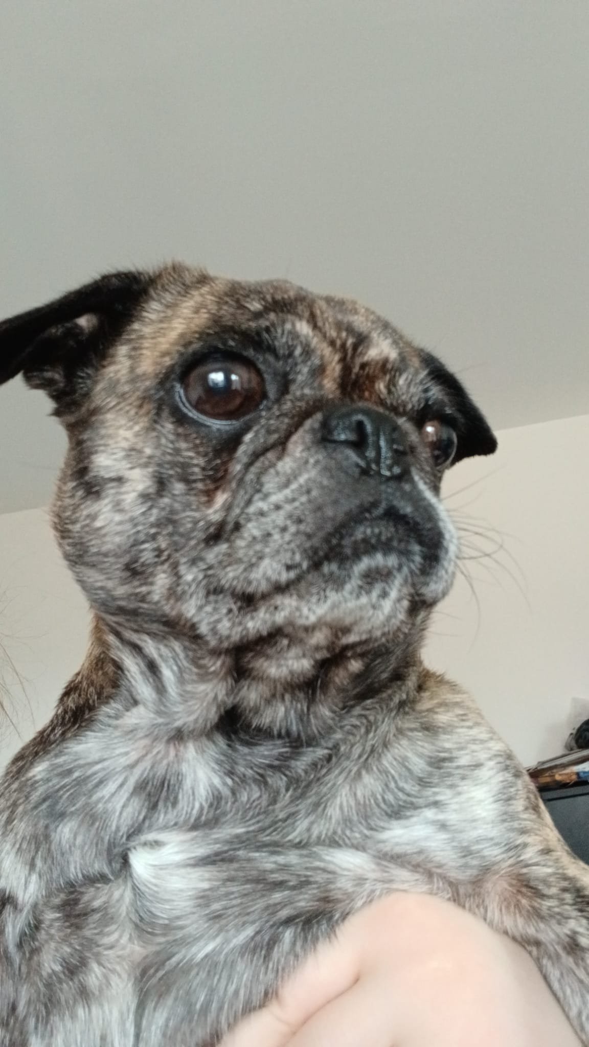 Oakley