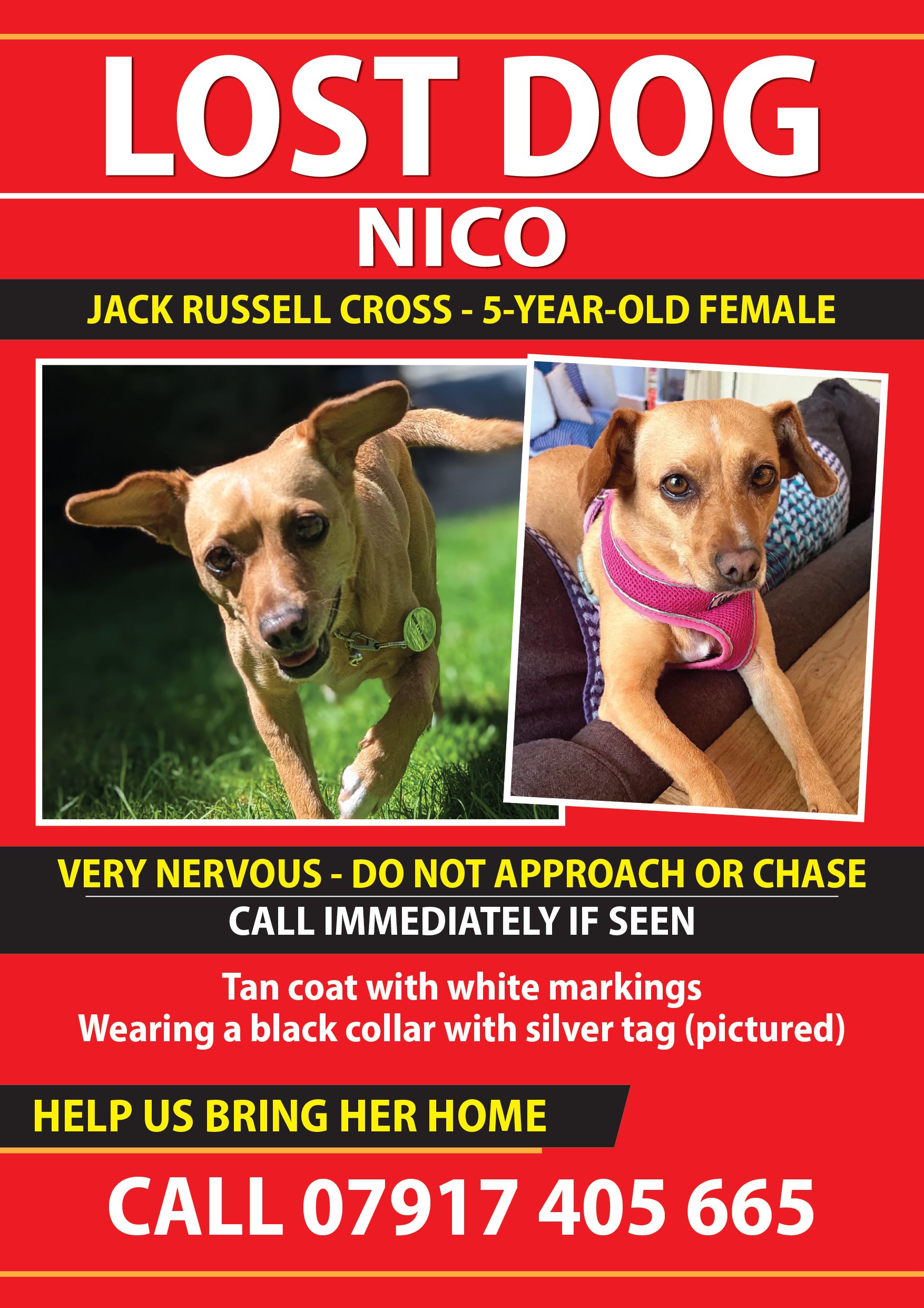 Nico