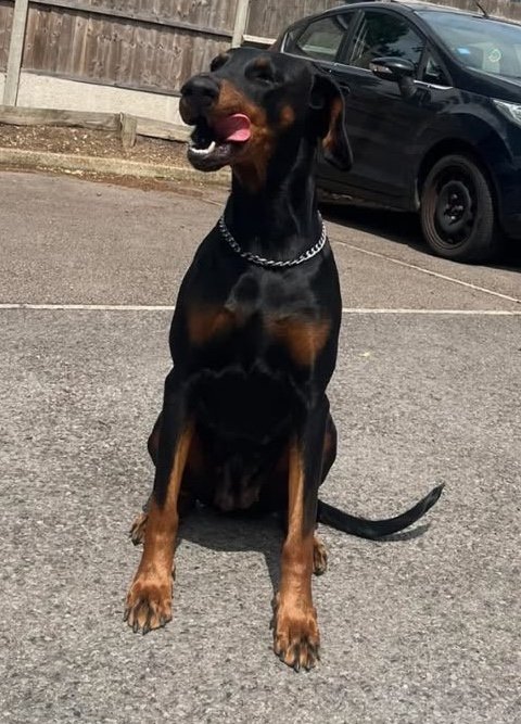 Xena