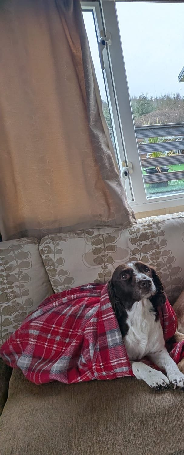 Rosie