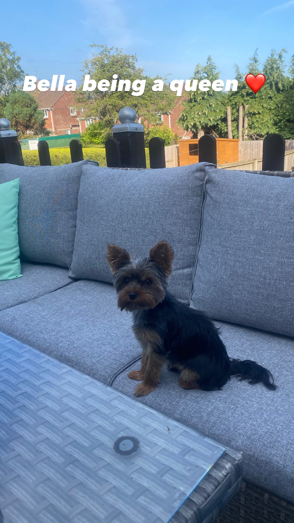 Bella