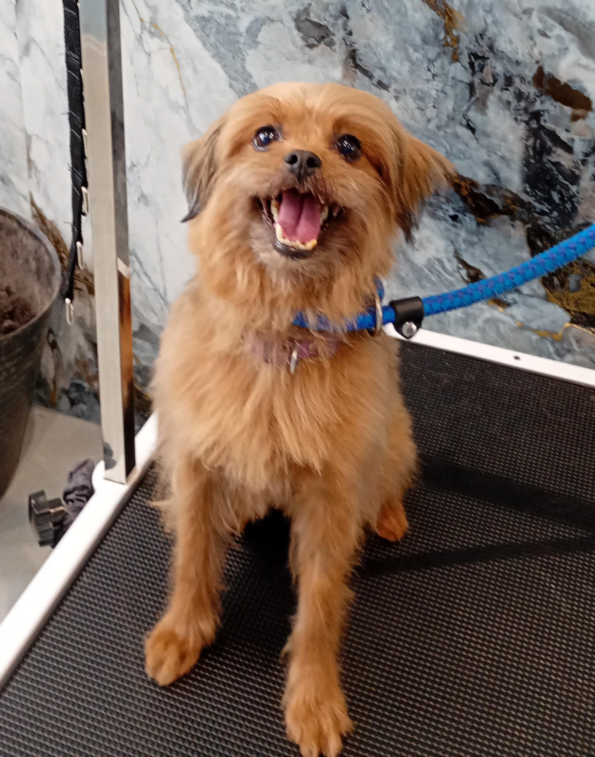 Nancy