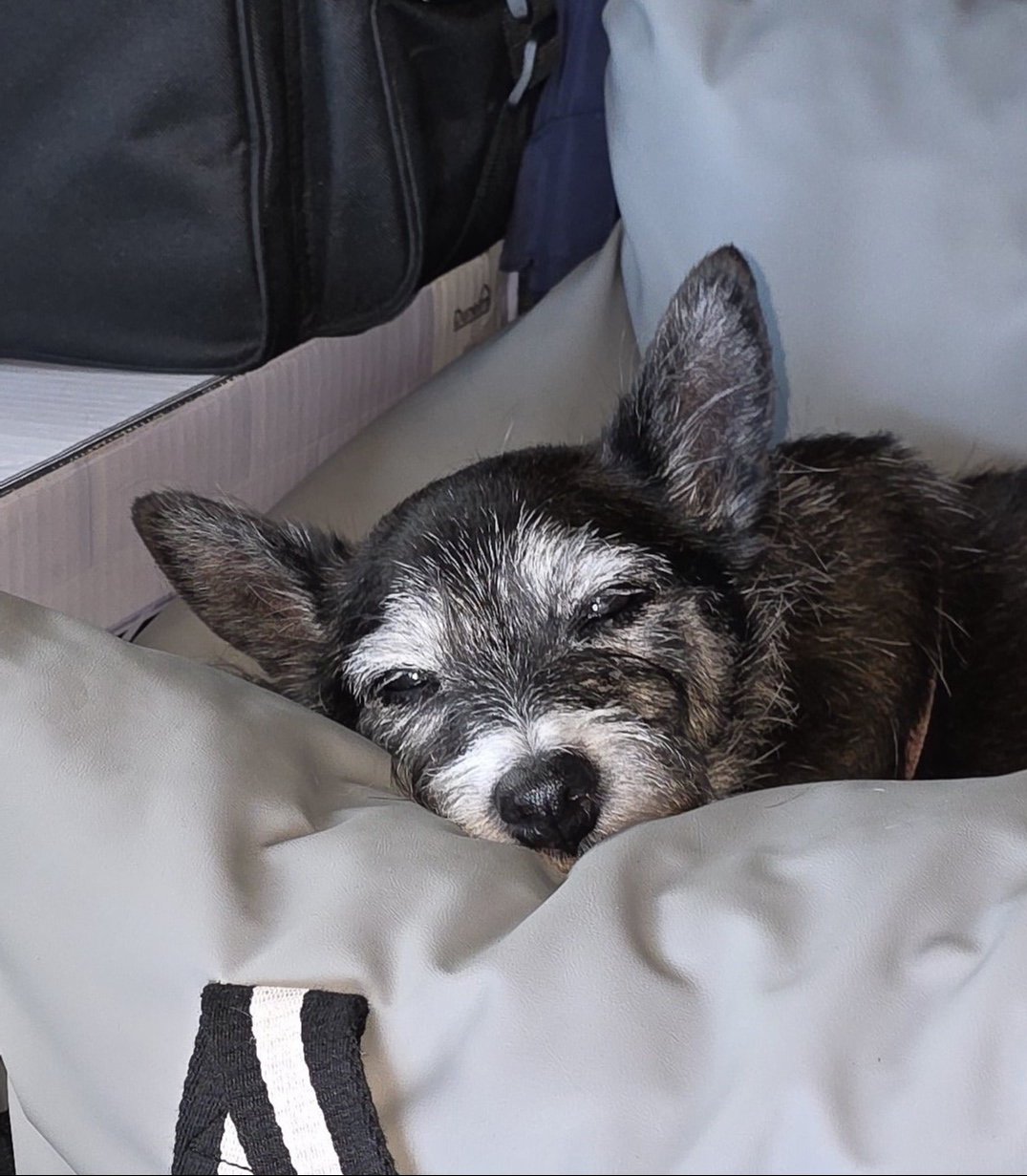 Missy