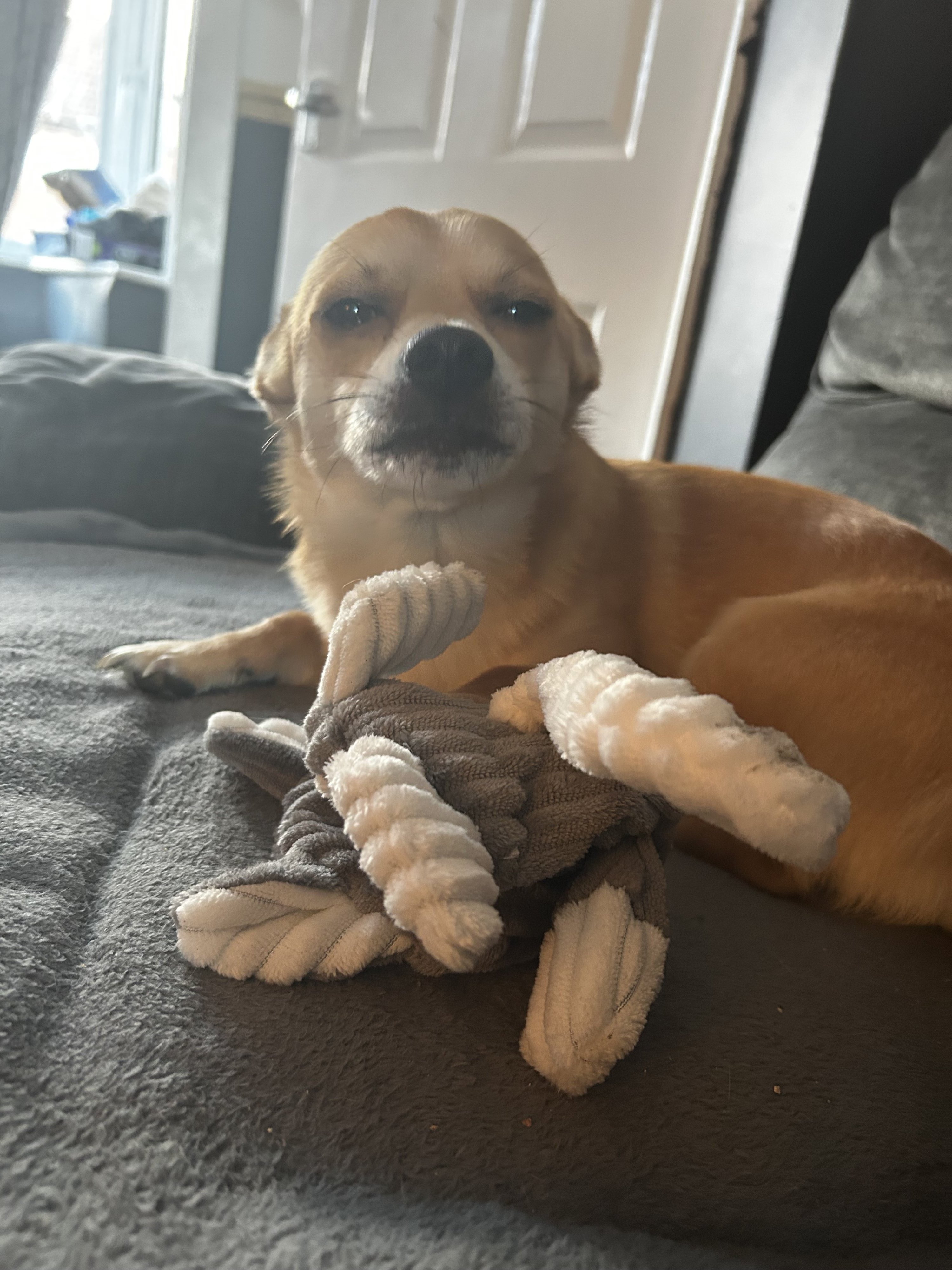 Ted