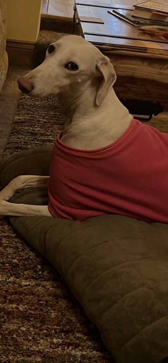 Peggy