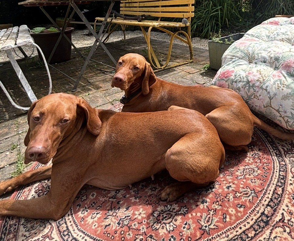 Audrey (mum,9) Apple (daughter, 4)