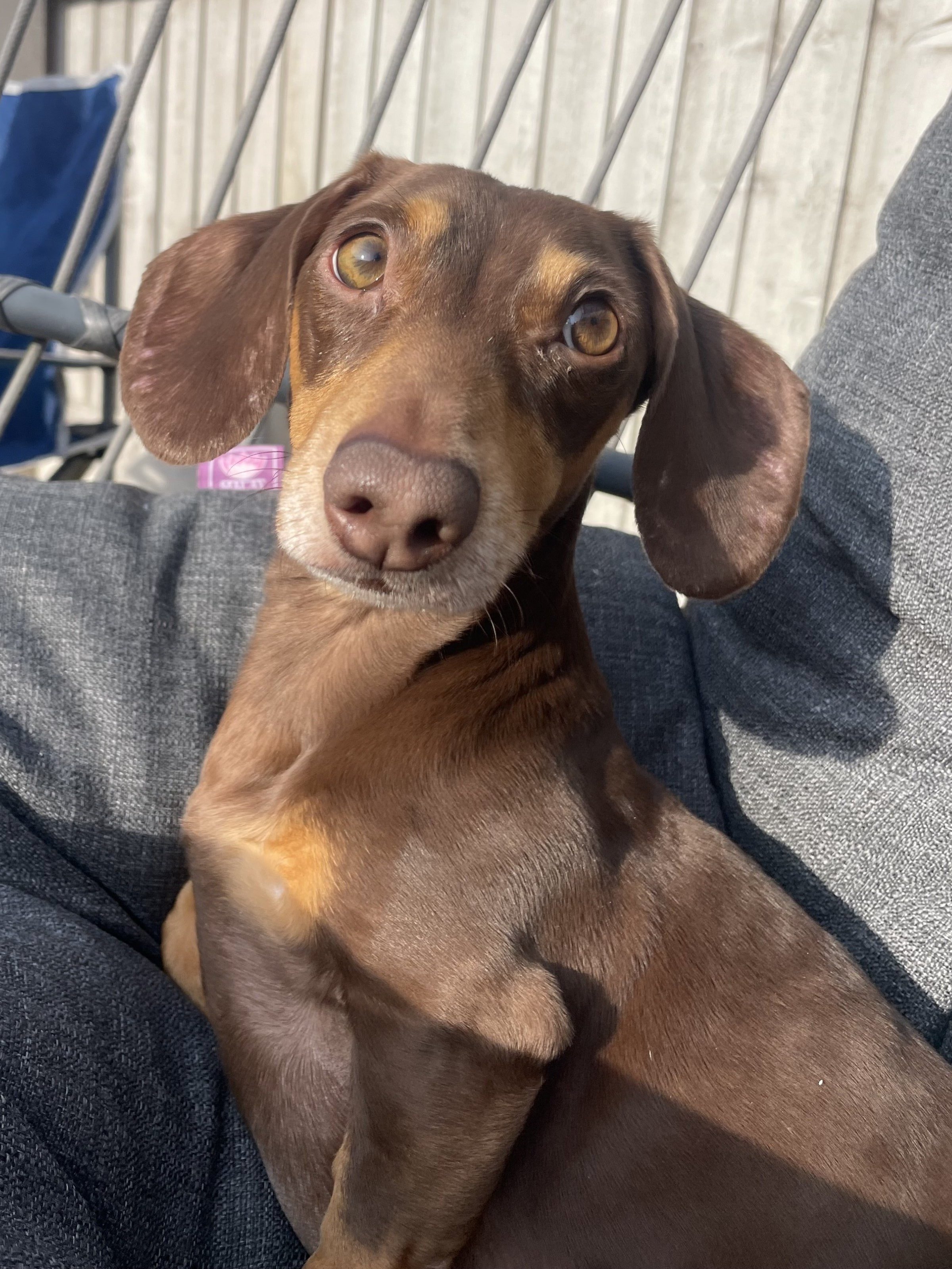 Gus