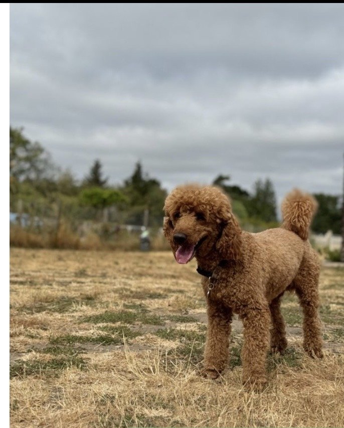 Milo
