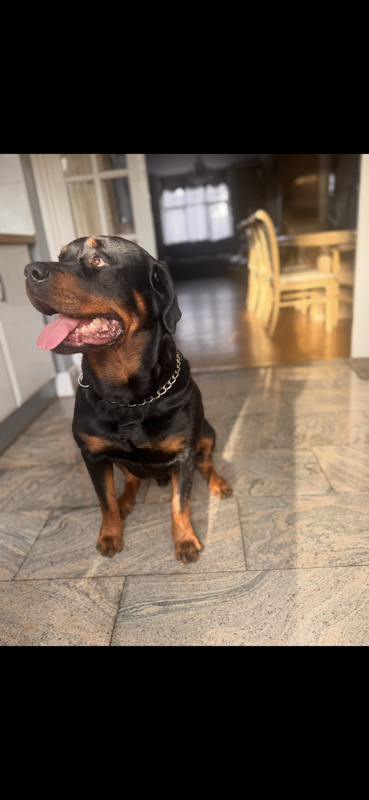 Odin