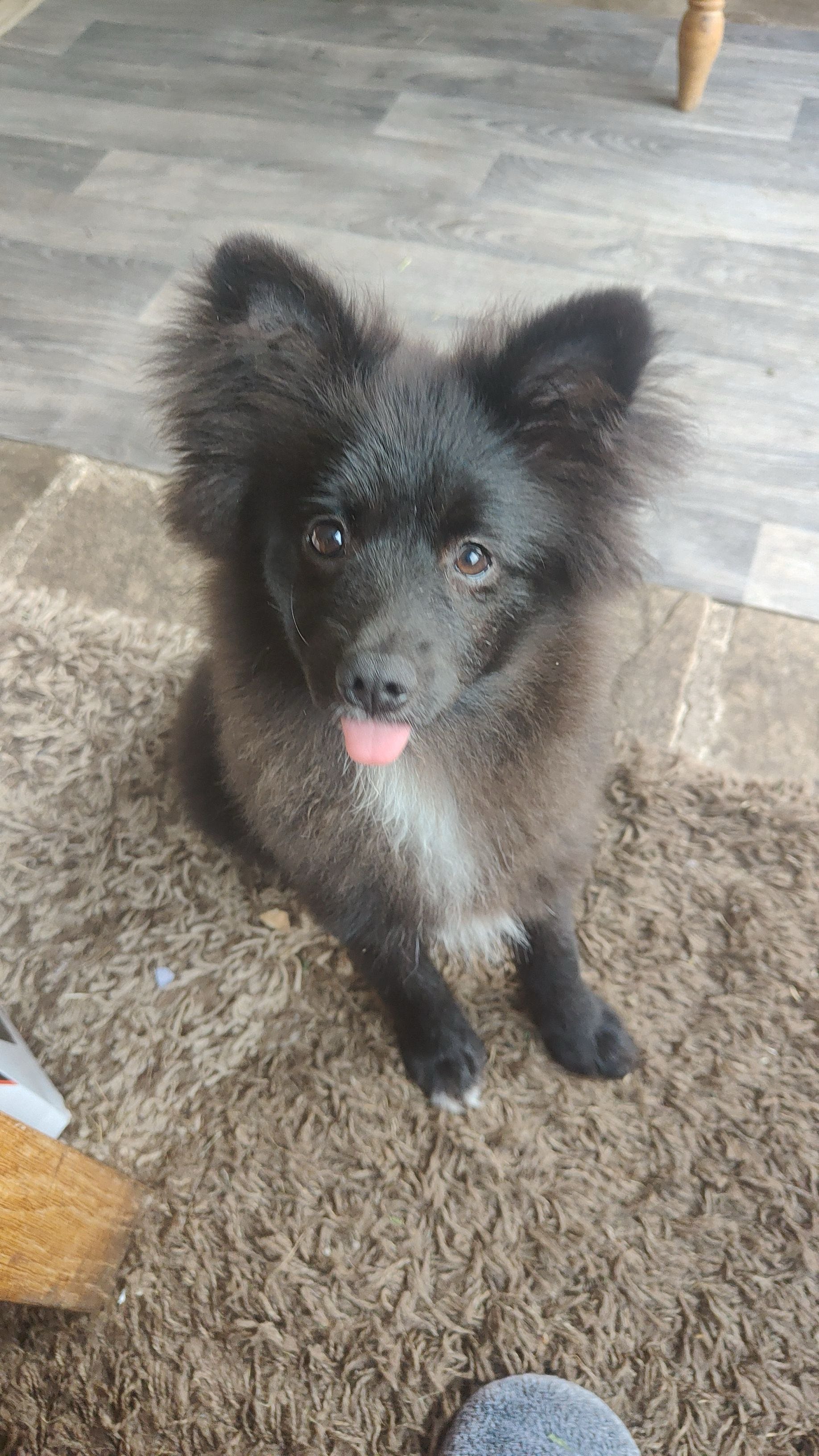 Maximus