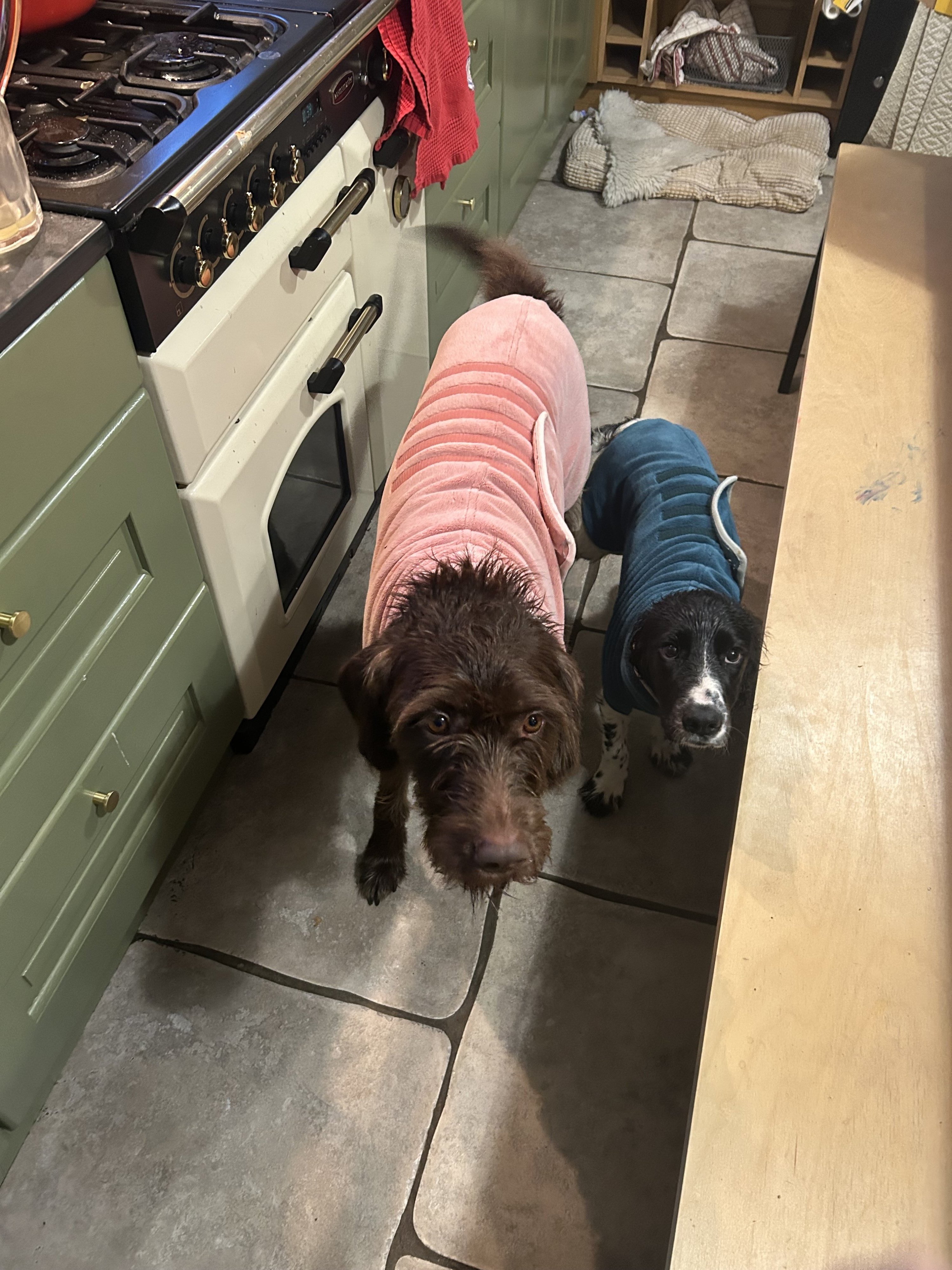 Maggie and Pig