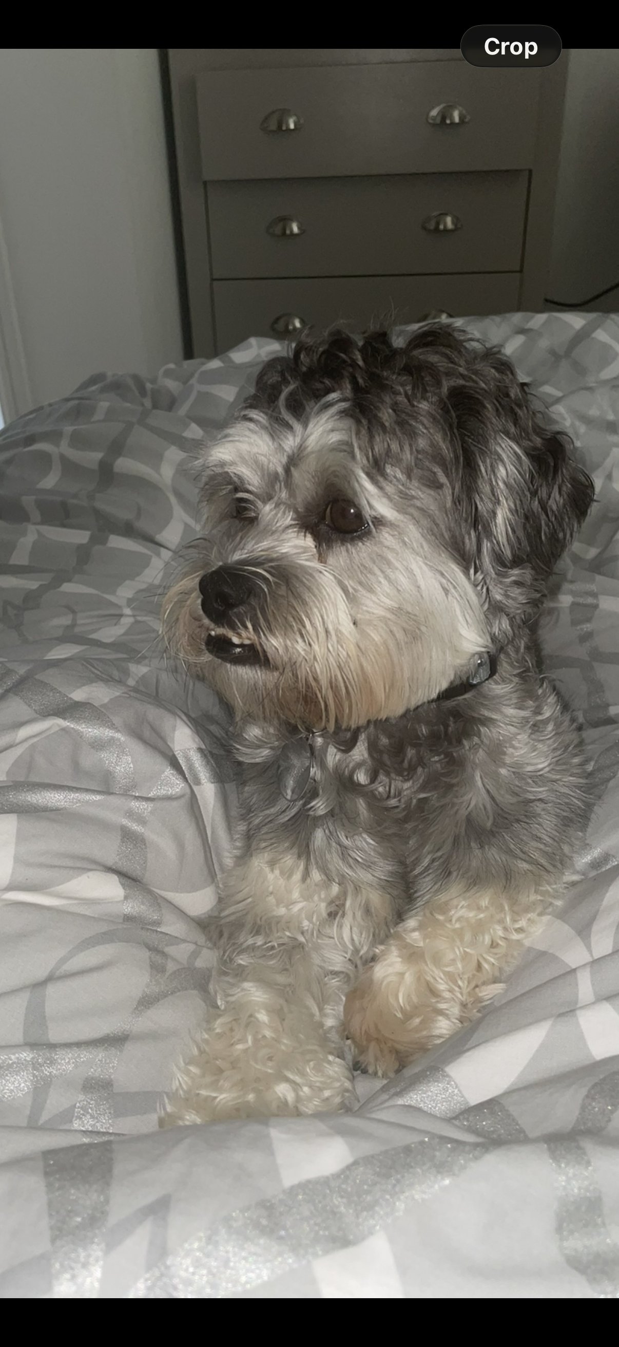 Ted