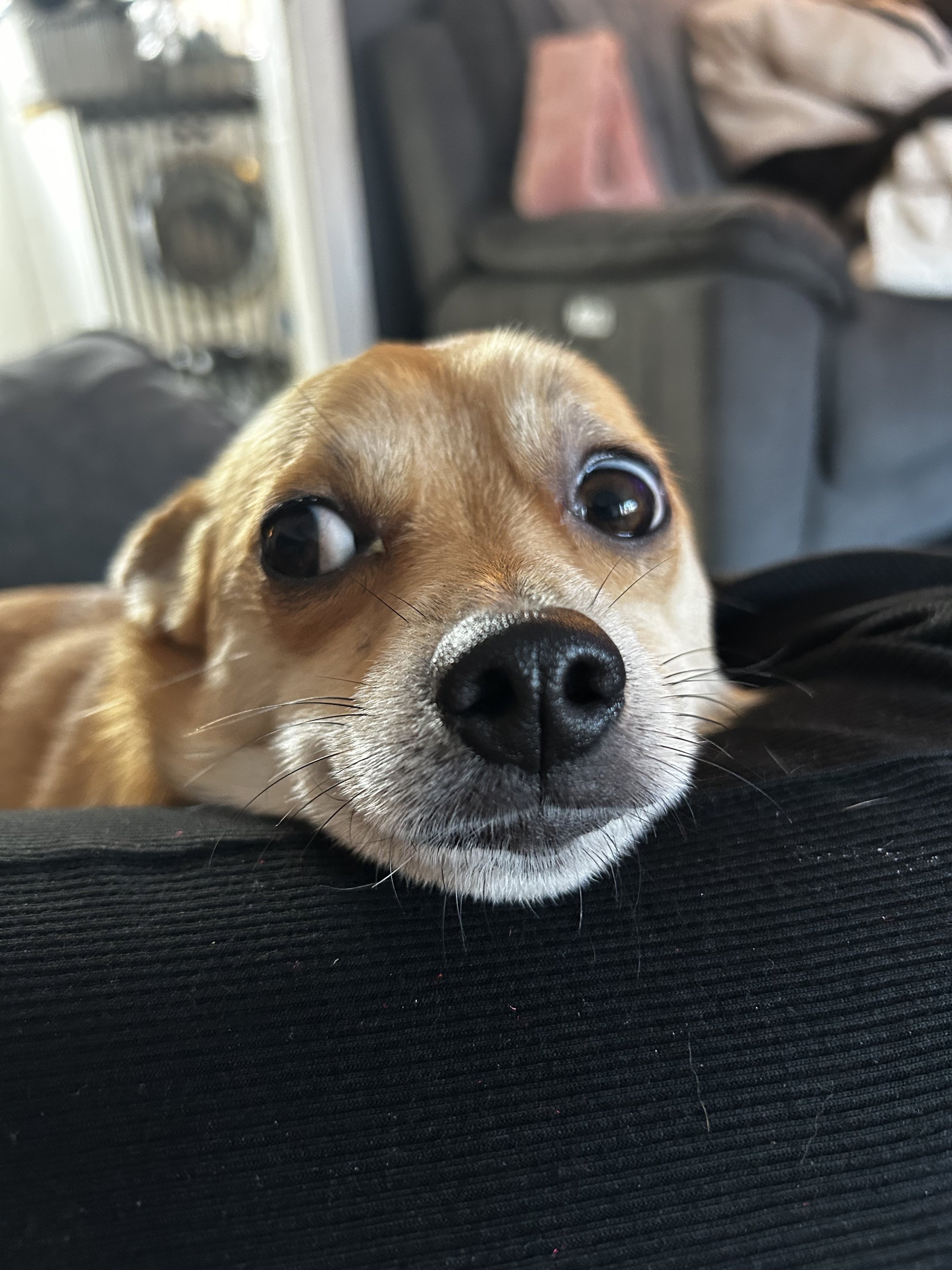 Ted