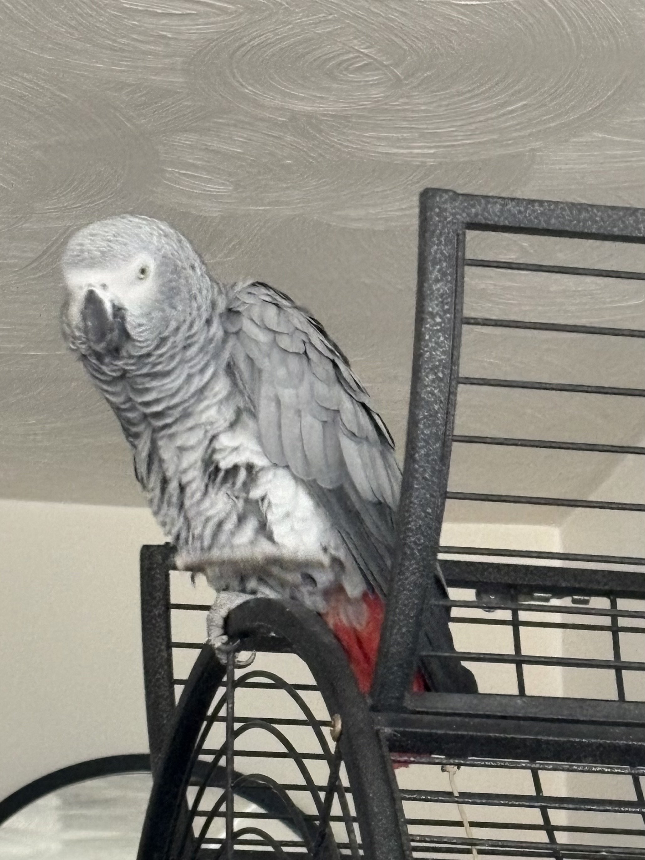 Tallulah