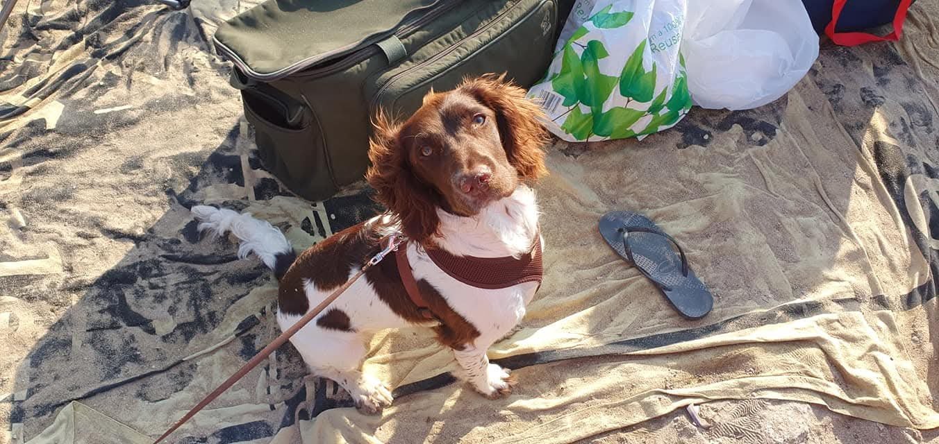 Coco
