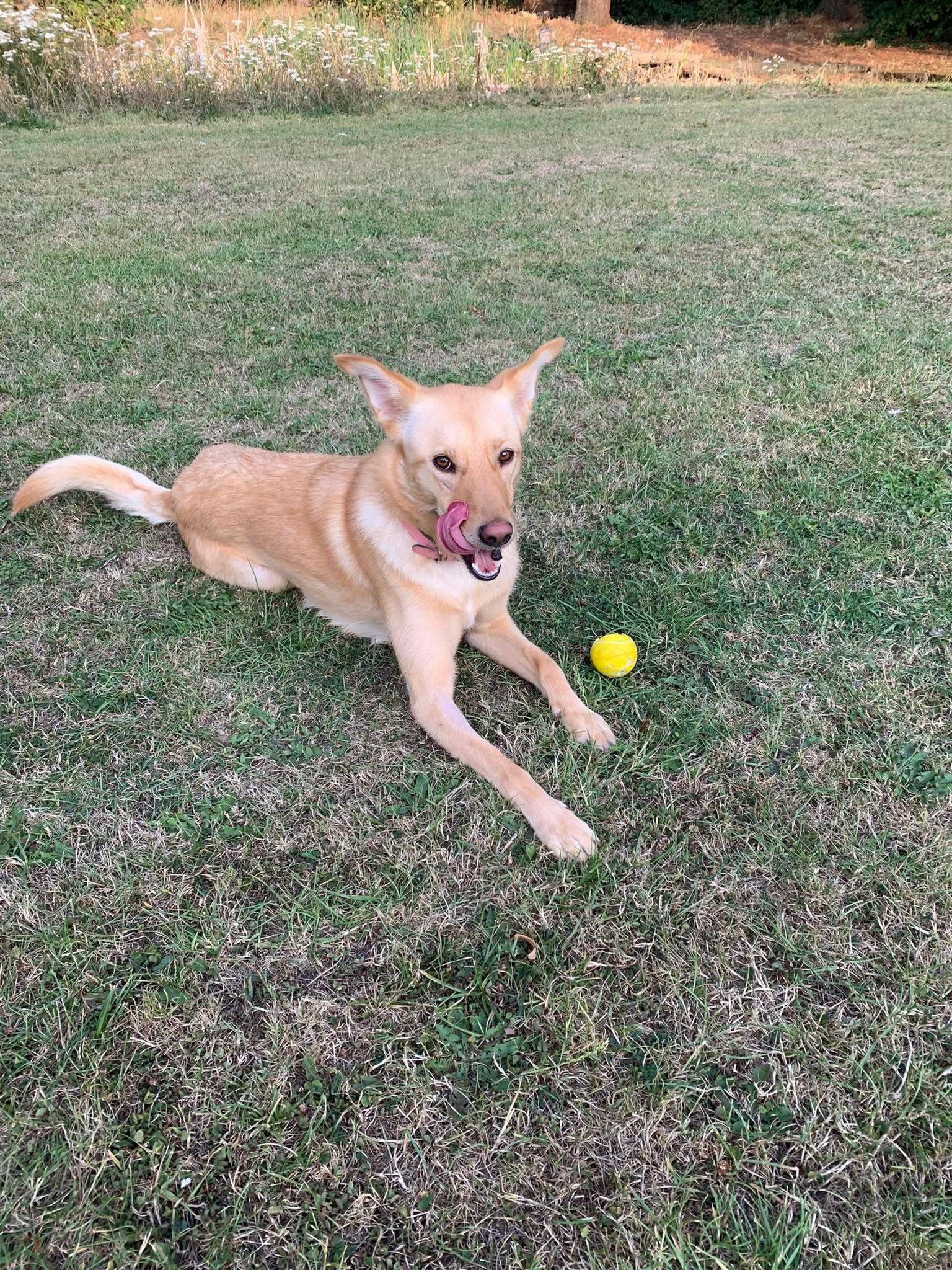 Roxy