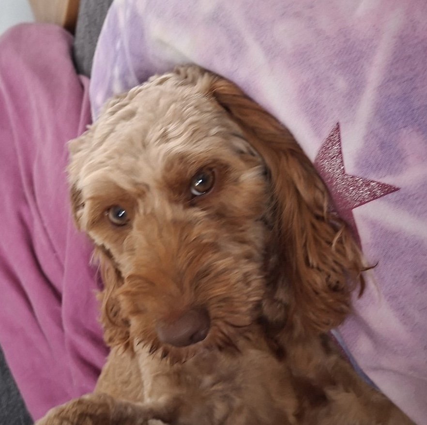 Penny