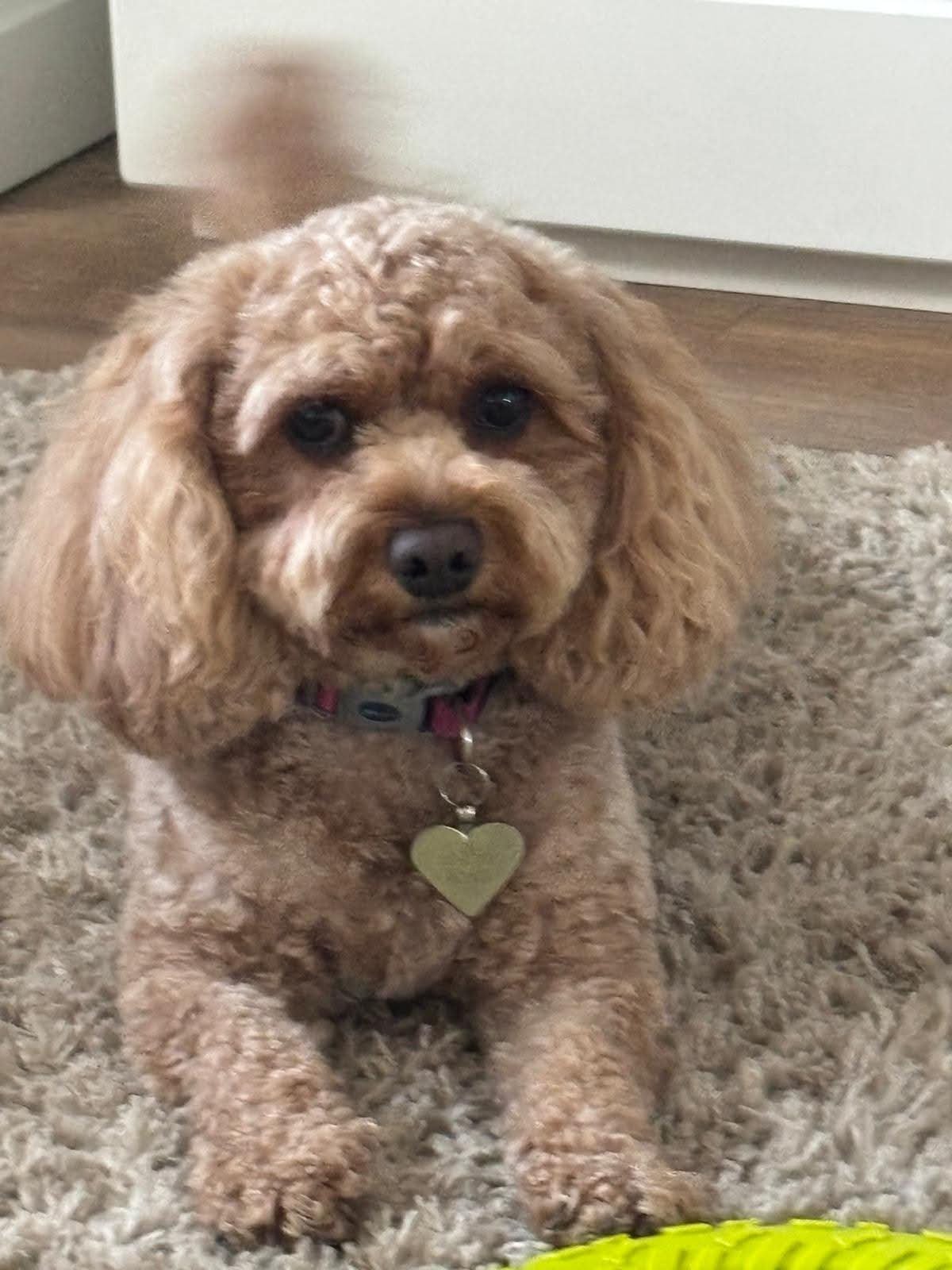 Molly