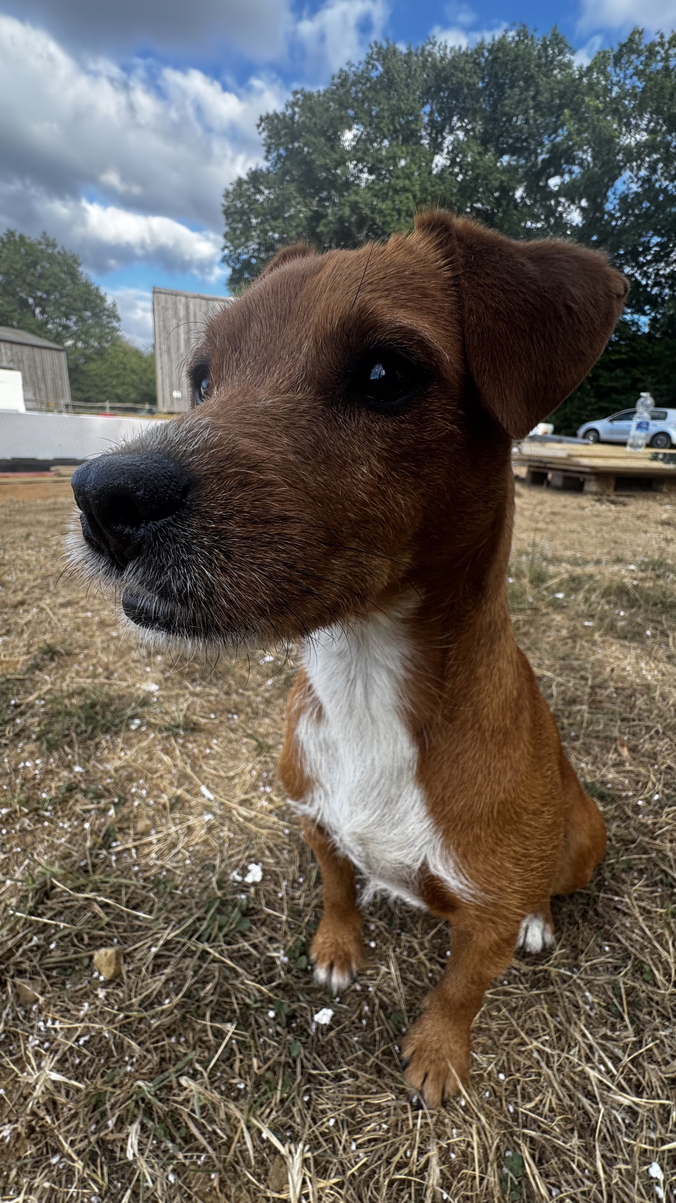 Peggy