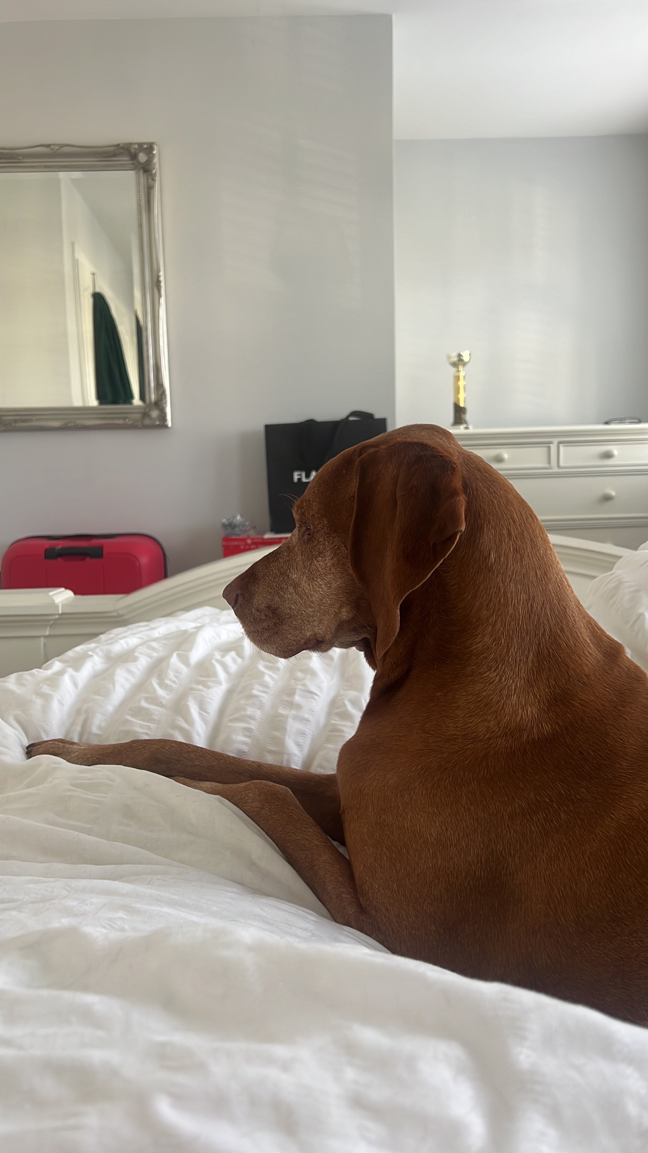 Ernie
