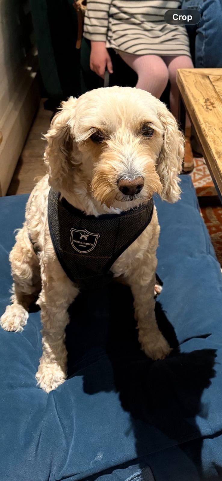 Rosie